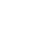 Wilson Customer Focussed