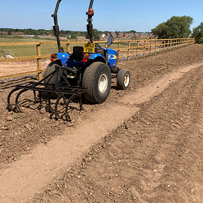 wilson seed cultivation staffordshire